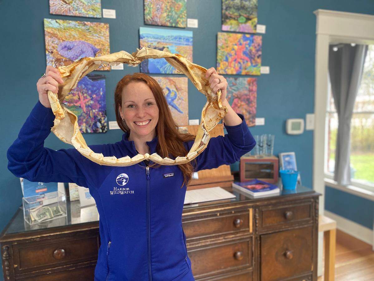 Rachel Easton, the education director at Harbor WildWatch poses with an exhibit prop.