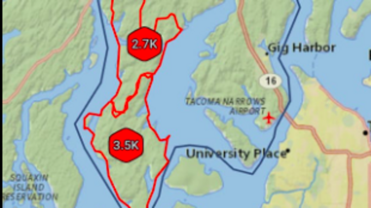 Screenshot of a Peninsula Light outage map early Saturday showing portion of power outage blamed on a large tree affecting electrical lines.