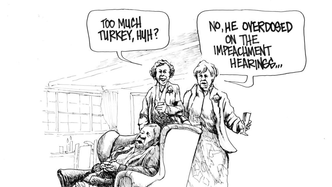 Don Snowden’s cartoon for Nov. 28