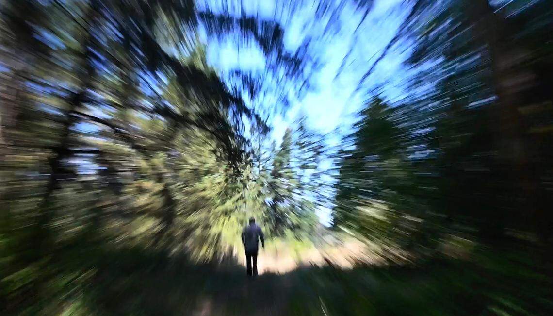 A proposed tiny-home village to be run by the Tacoma Rescue Mission on property surrounded by wetlands near Spanaway Lake, Washington, has drawn scrutiny over its location, costs, long-term funding, and the process that allowed it to be approved. The location is shown on Tuesday, Aug. 1, 2023.