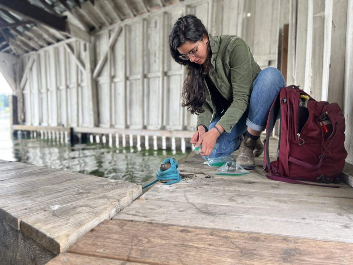 Yasmine Hentati at work.