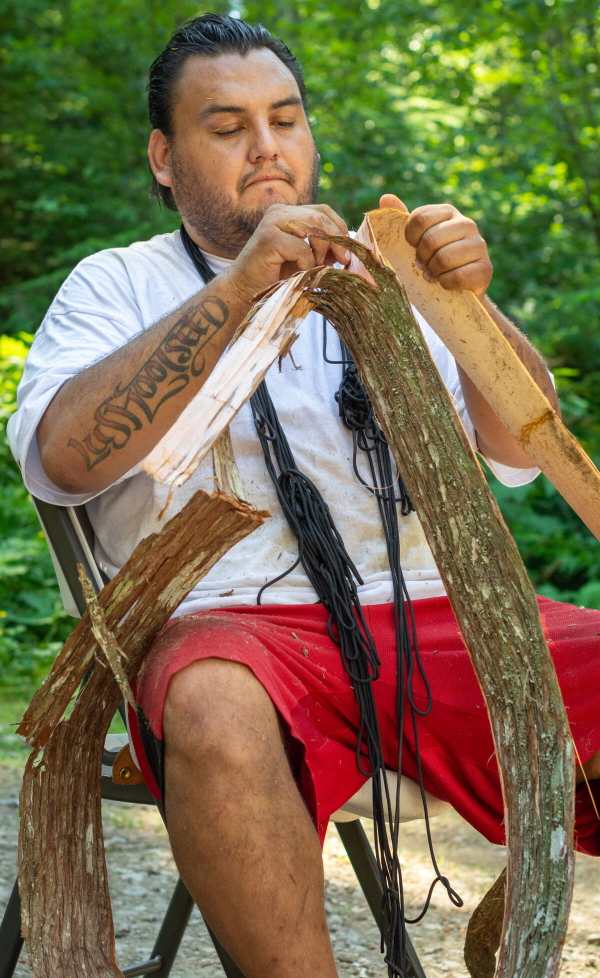 Puyallup tribal member Les Nelson cleans a 40-foot long strip of cedar bark at the Puyallup Tribe of Indian’s cedar harvest Tuesday, June 29, in the Elbe Hills State Forest in eastern Pierce County. The tribe’s cultural center, located in Tacoma, hosts harvests of cedar and other summer plants once a week in June and July. The bark is harvested at the beginning of the summer, cleaned and left to dry for a year before it is used to make cedar hats, regalia and other cultural items.