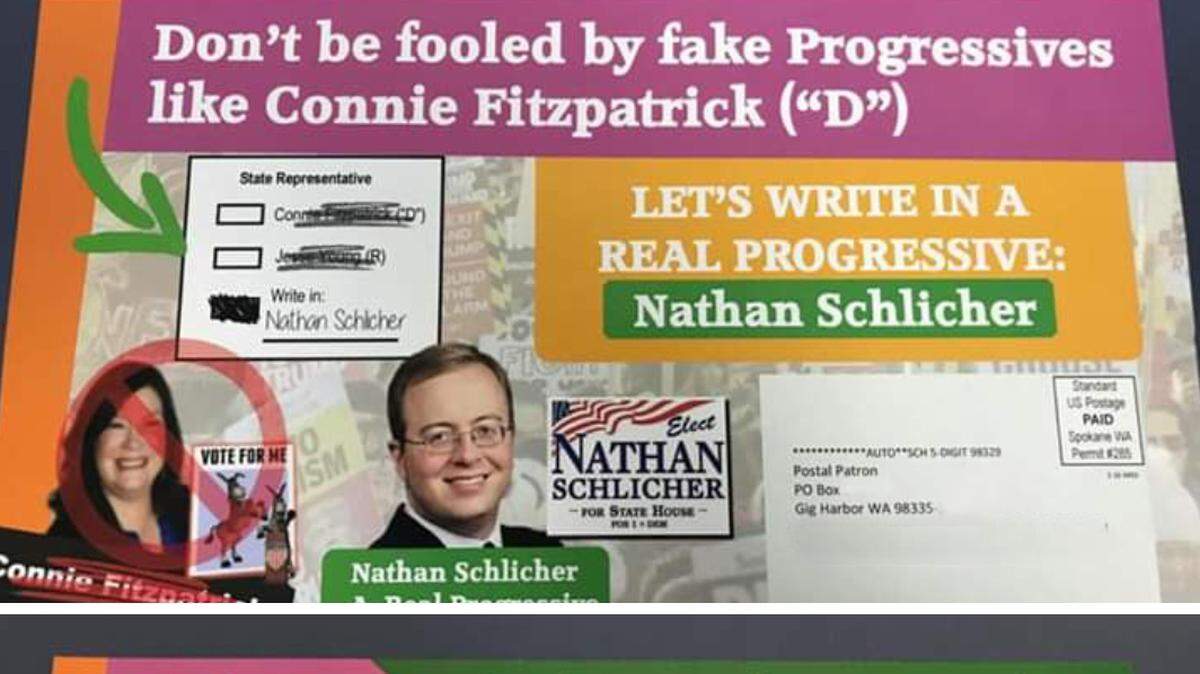 This mailer was sent to 70,000 voters in the 26th Legislative District over the weekend.