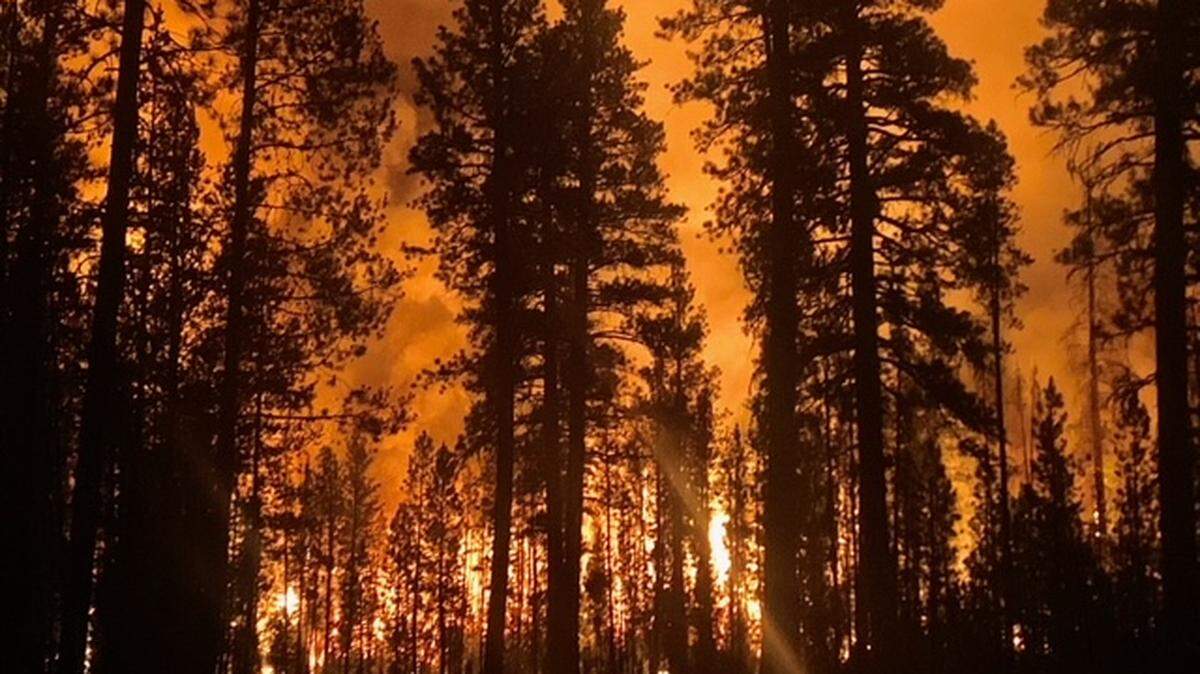 “On behalf of our cooperating agencies, the NMAC would like to thank the U.S. military for their assistance in protecting lives, property, and critical cultural and natural resources,” Josh Simmons, chair of the National Multi-Agency Coordinating Group, said in a news release detailing the request for additional federal firefighting resources.