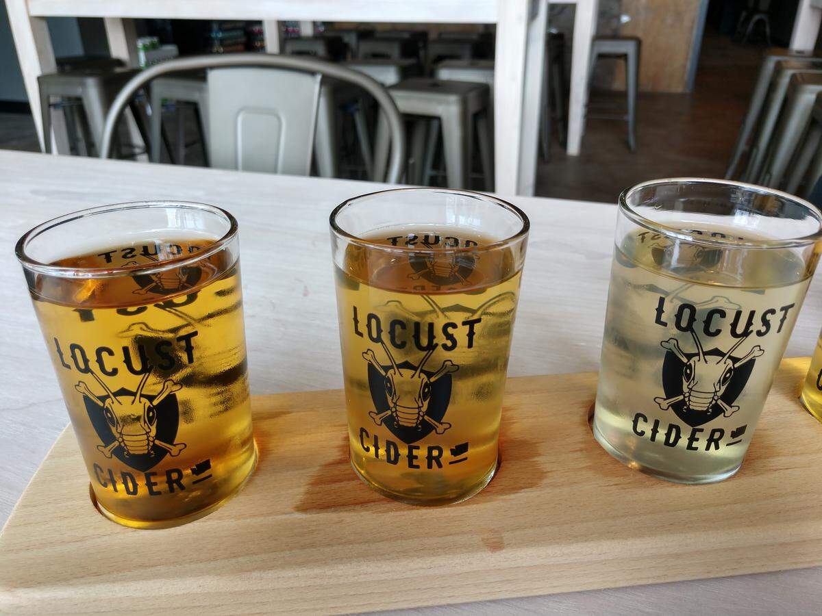 A flight of ciders from the Locust Cider tasting room in Tacoma.