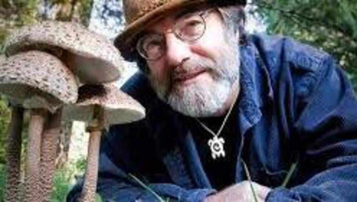 ‘Fantastic Fungi,’ while fascinating to look at, suffers from a lack of diverse voices