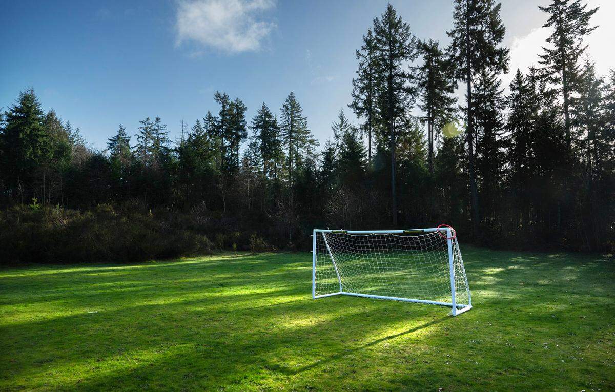 This grass meadow will be replaced with two synthetic turf athletic fields at the planned Gig Harbor Sports Complex.