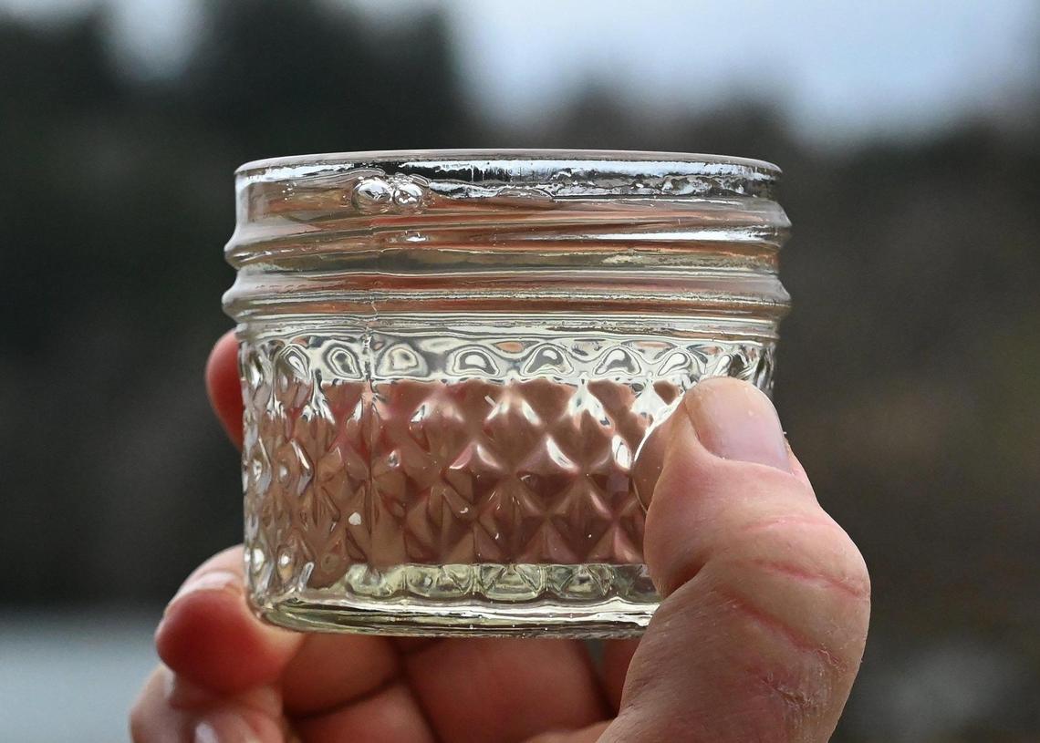 A sample jar of bigleaf maple sap collected at the Myers Point Environmental Field Station near the Henderson Inlet shoreline in north Thurston County.
