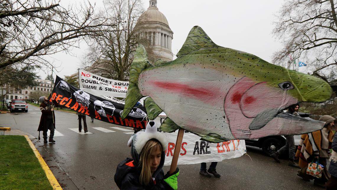 Thinking about boycotting salmon to help save the Orcas? Here’s a much better idea | Opinion