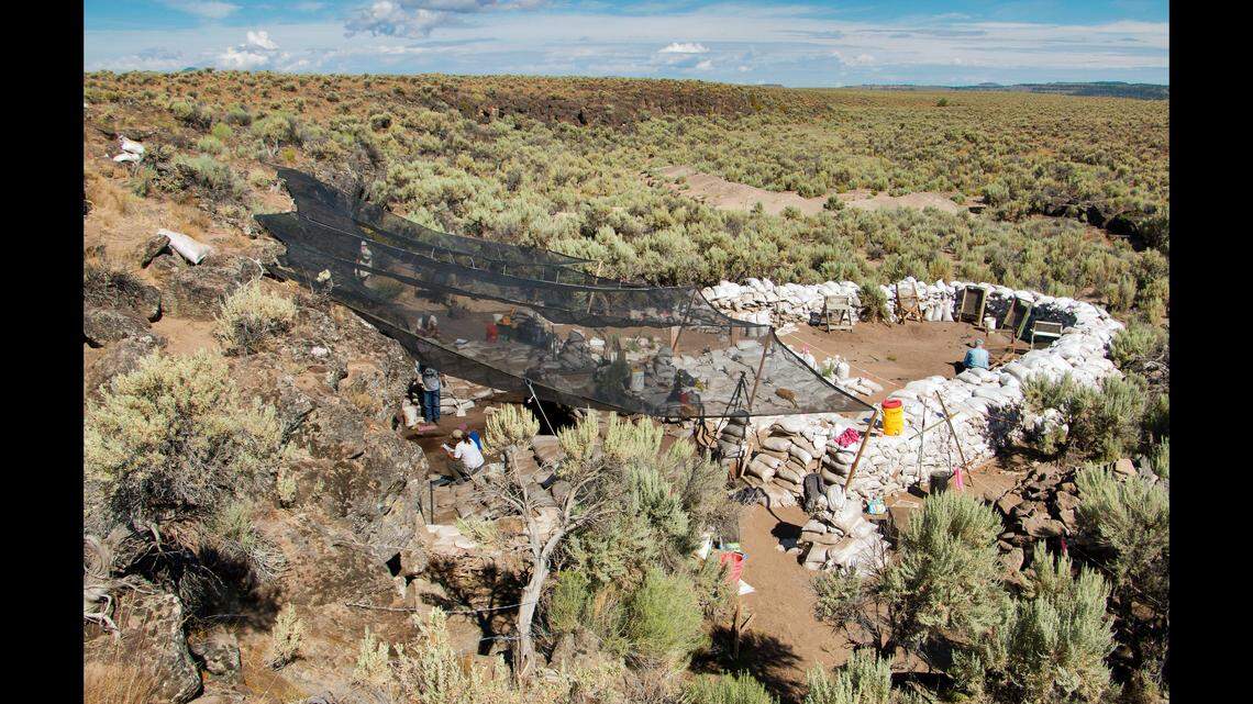 Tooth fragments from an extinct species and stone tools found in Oregon suggest humans occupied the area more than 18,000 years ago.