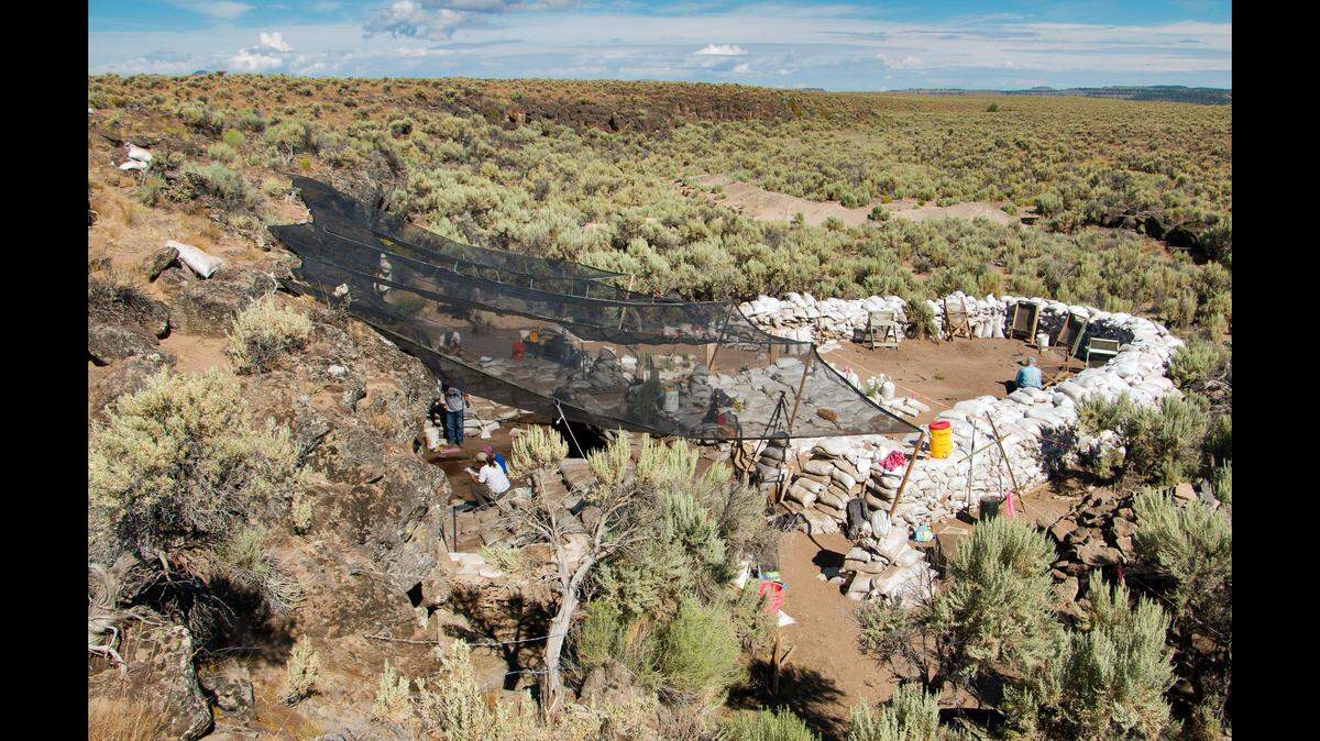 Tooth fragments from an extinct species and stone tools found in Oregon suggest humans occupied the area more than 18,000 years ago.