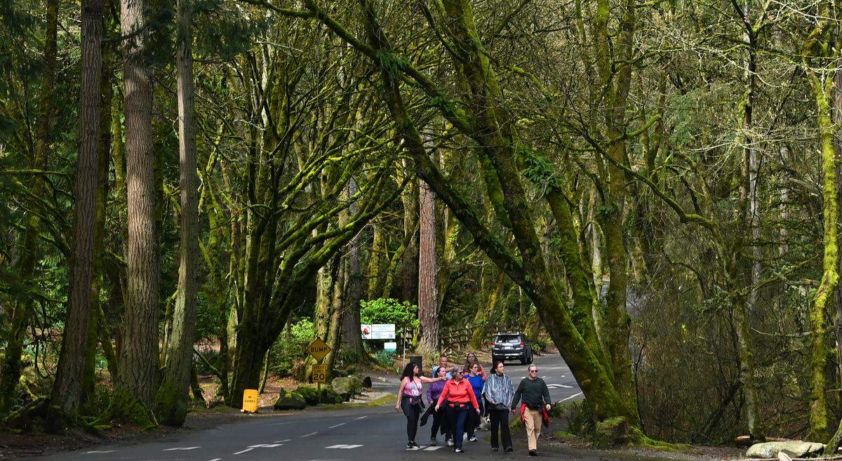 Parks Tacoma capital improvement program manager Terry Jungman and Marty Stump, director of business, administration and planning outline the upcoming 1.6-mile paved pathway project in Point Defiance Park during a March 27, 2025 tour. The second phase for the Loop Trail will connect from Wilson Way Bridge to numerous main public areas in the park while improving pedestrian safety.