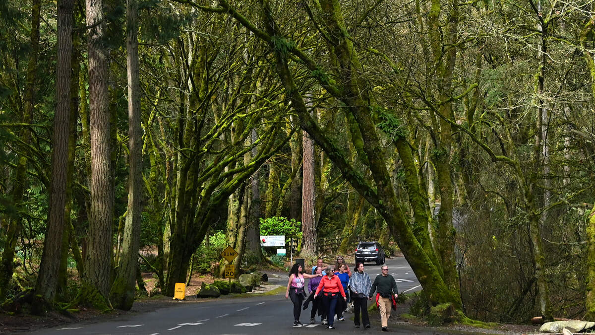 Point Defiance Attack Detours and closures inside Point Defiance Park, Tacoma | Tacoma News ...