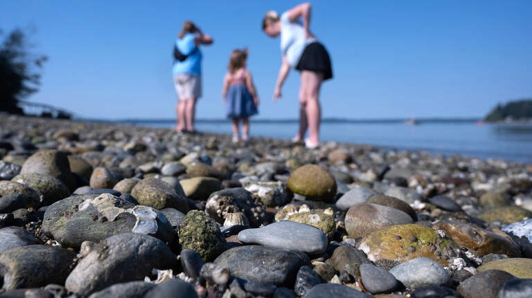 History, mystery revealed behind rare ‘claybaby’ formations that wash ashore on Puget Sound