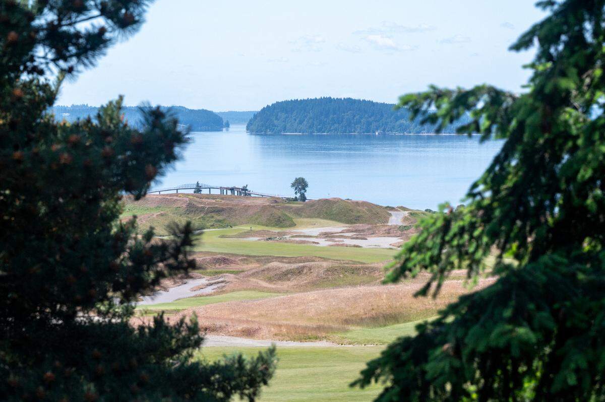 The Chambers Bay Loop is a great trail to hike with your dog.