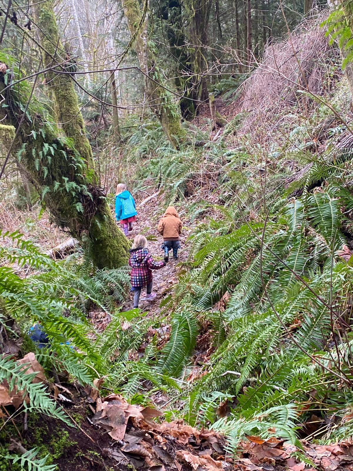 Children tromp through the woods on the property that will become Roots Learning Center, a nature-based school that will open near Port Orchard, Wash., in fall 2026.