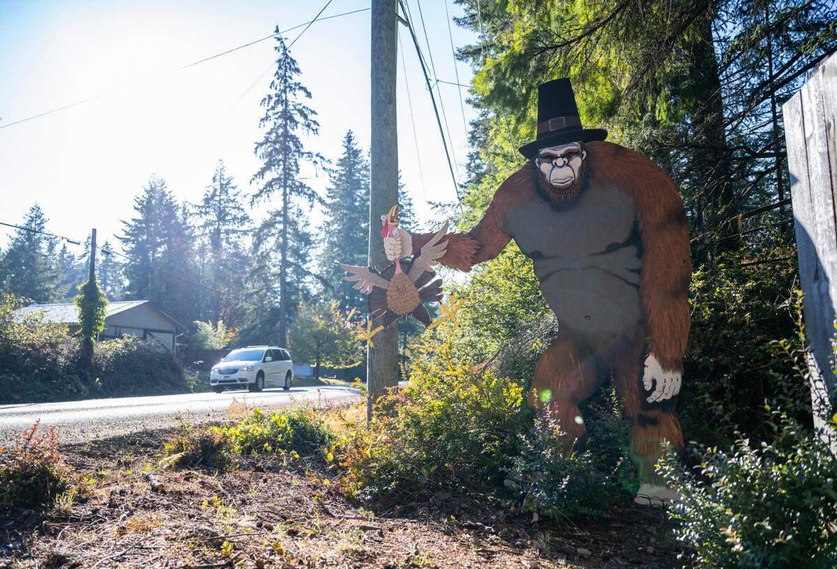 An 8-foot-tall Sasquatch, made of plywood coated in craft paint, stands on the side of the road on Creviston Drive in Gig Harbor, Wash. on Nov. 20, 2022. The Sasquatch was created by Gig Harbor resident Scott Bows as a fun project to do over one weekend in August with his kids.