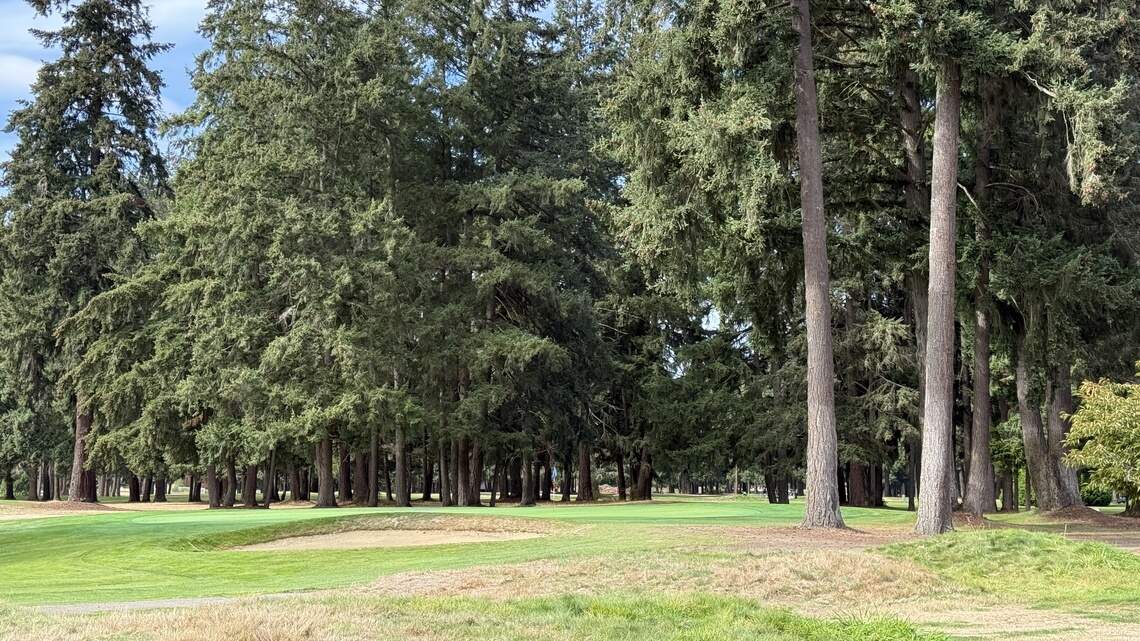 Lake Spanaway Golf Course review: best bang for your buck in Pierce County?