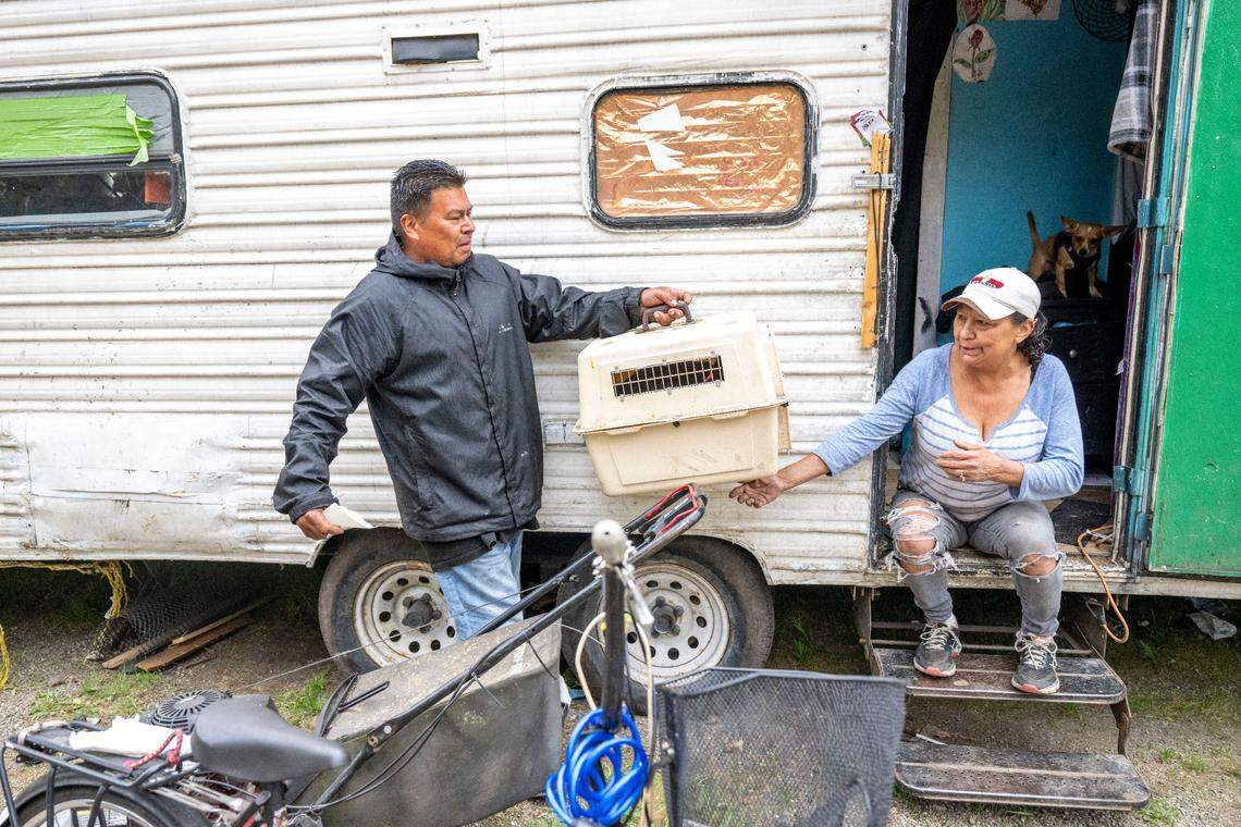 Michael Zollner hands a cat to his older sister, Lisa Zollner, as they prepare to leave an encampment along South Tyler Street that was being cleared on Tuesday, May 30, 2023, in Tacoma, Wash. The brother and sister park next to each other wherever they can. Despite both of them having part-time jobs they still cannot afford to find a permanent home.