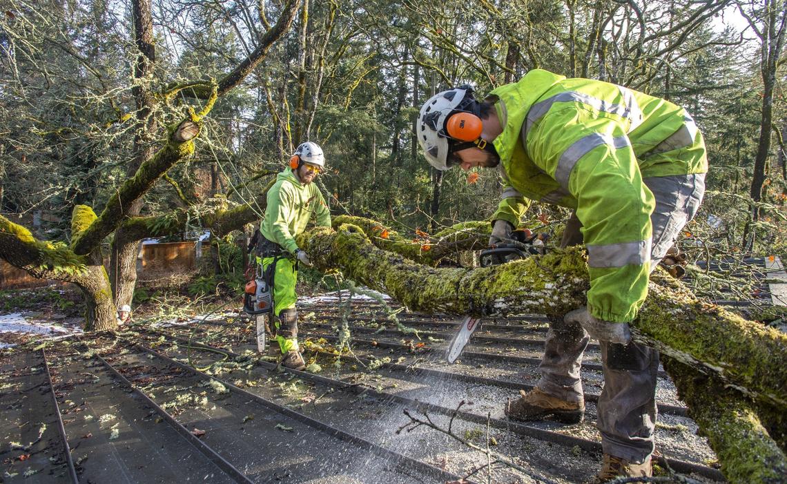 Austin Heppell, right, and Ryan Cox of Apex Tree Experts cut up a large leader of an oak tree on Friday, Feb. 15, 2019. The leader cracked from the weight of accumulated snow during a storm and fell onto the garage of this Lakewood home.