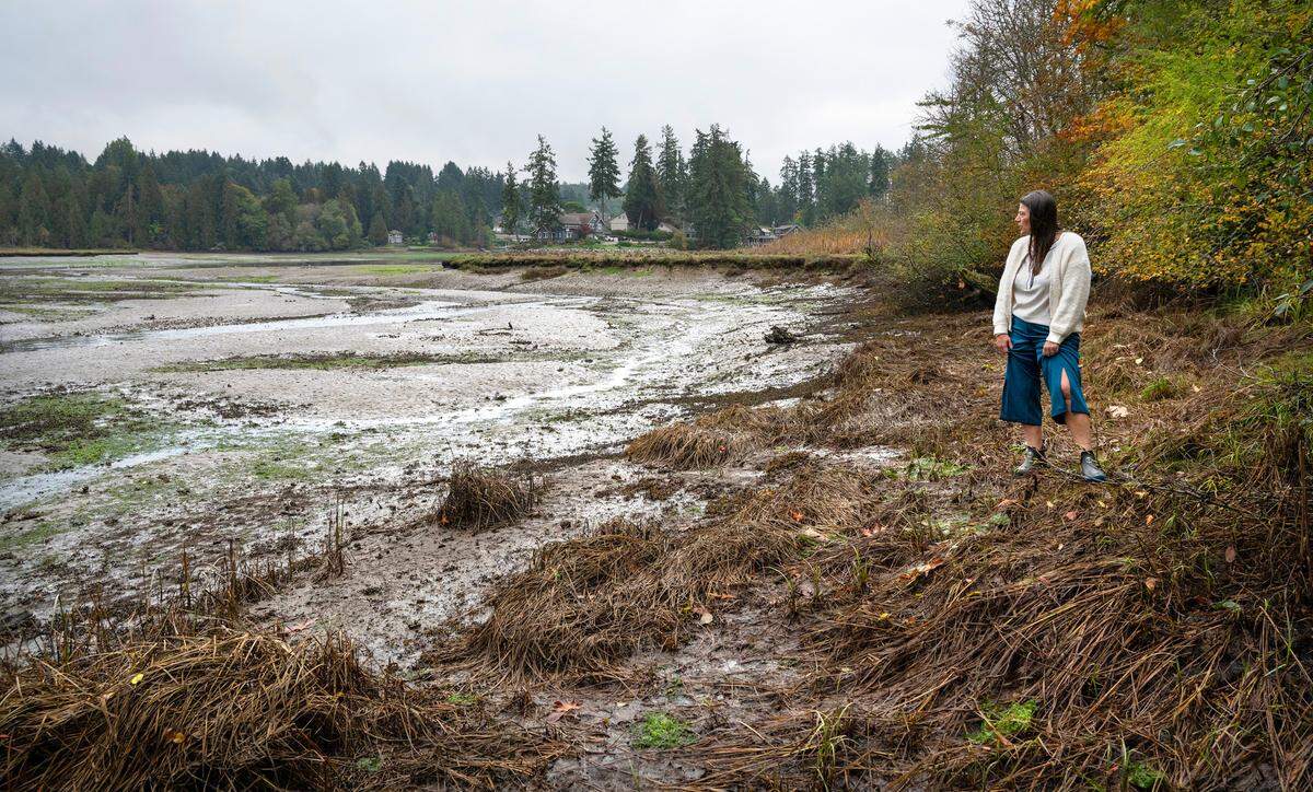 Zemorah Murray of PenMet Parks looks out over Wollochet Bay at the conflux of Artondale Creek as she gives a tour of Wollochet Bay Estuary Park, one of several undeveloped parks in Gig Harbor, Washington, shown on Thursday, Oct. 12, 2023.
