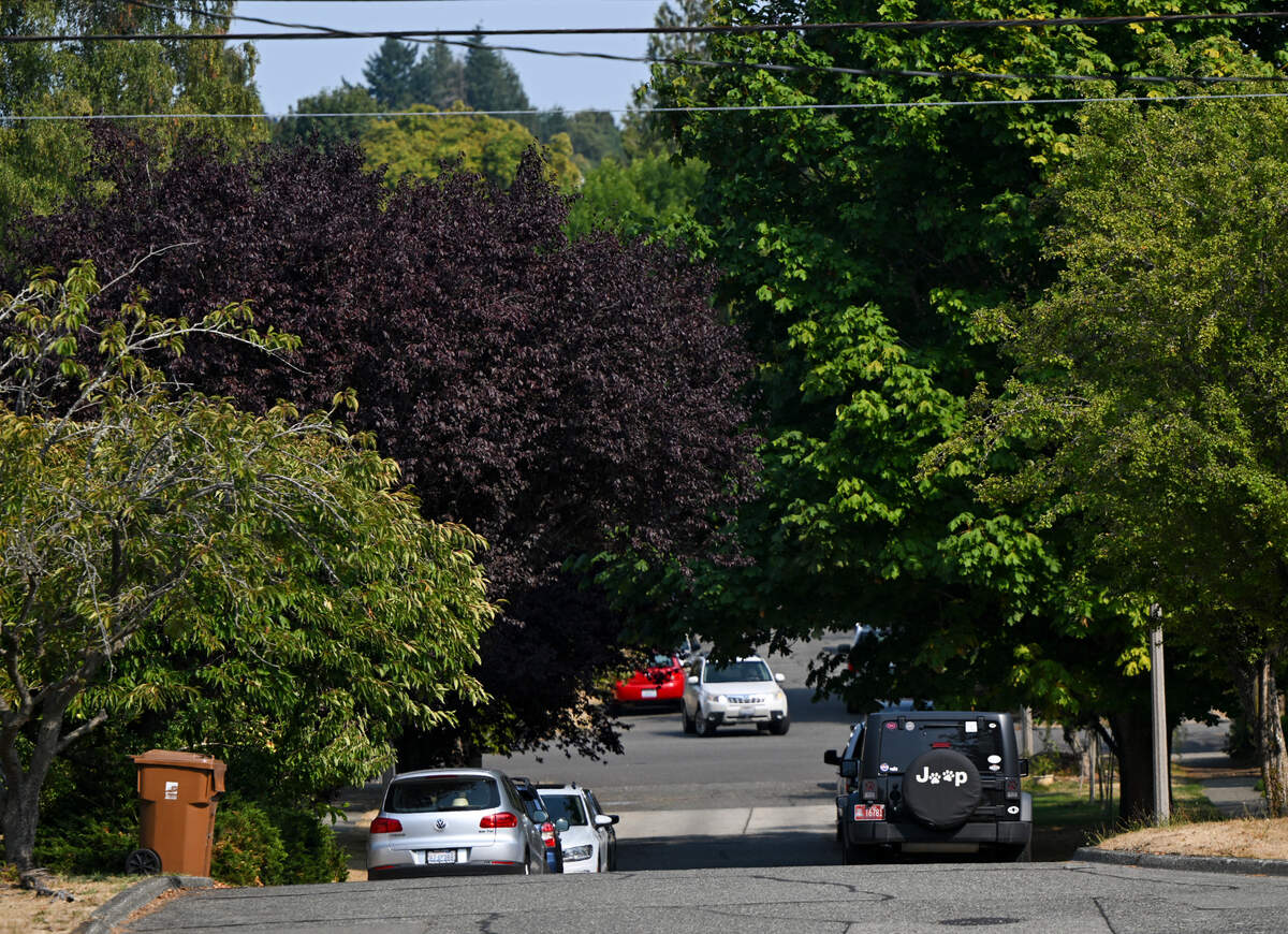 Trees grow over the street and provide cooling shade in a neighborhood near the University of Puget Sound in Tacoma, Thursday, Aug. 24, 2023.