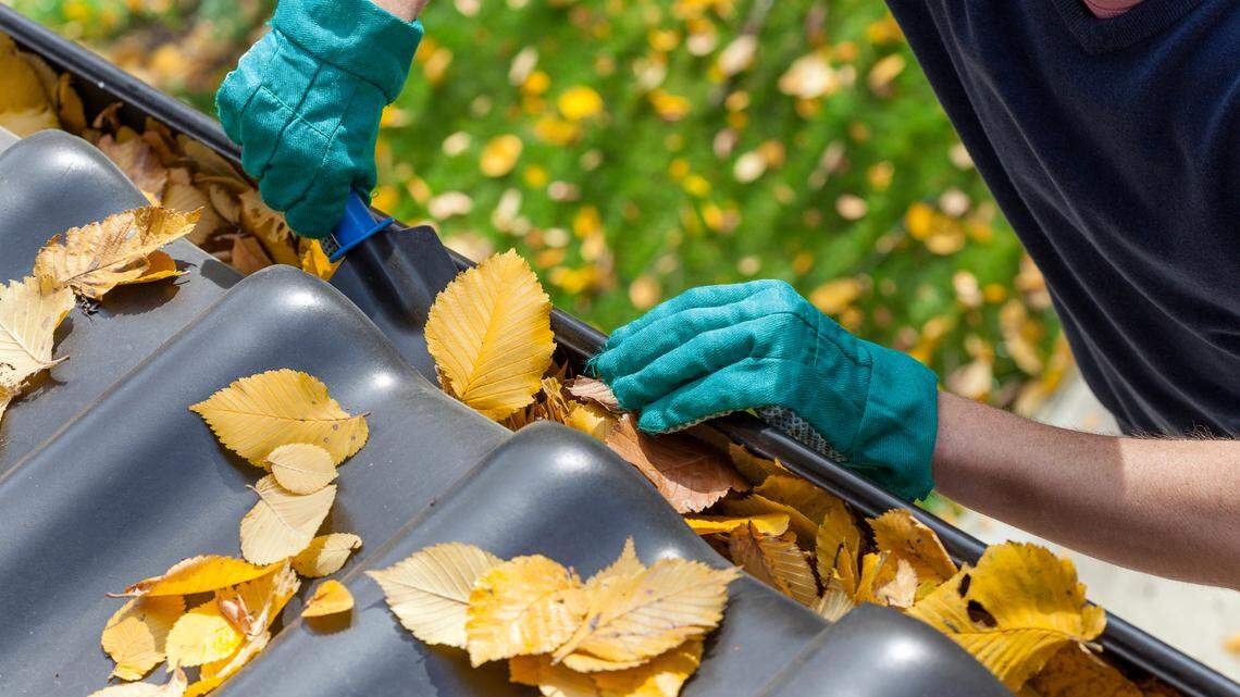 Do you need to rake leaves? How to prep your lawn and garden for fall in Pennsylvania