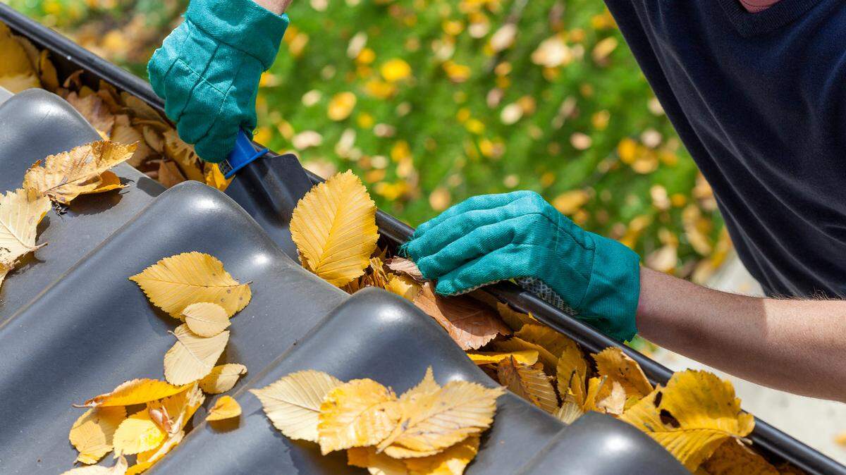 To rake or not to rake? Here’s what Penn State Extension experts say should get done this autumn to keep your garden and lawn healthy through the winter.