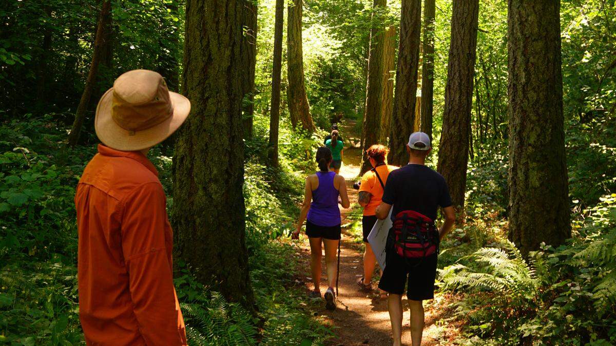 The Pierce County Council approved a slate of new conservation projects that will restore prairies, add trails and protect forestland and wetlands around Pierce County.