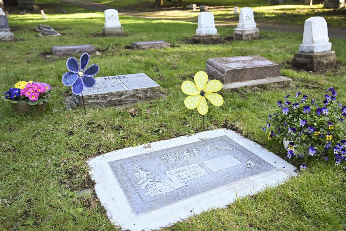 A collection of headstones cleaned by William Fleet sit in the shade at the old Tacoma Cemetery on Monday, March 9, 2026, in Tacoma, Wash. Fleet was asked if he could clean a headstone, front, in time for the birthday of the deceased.