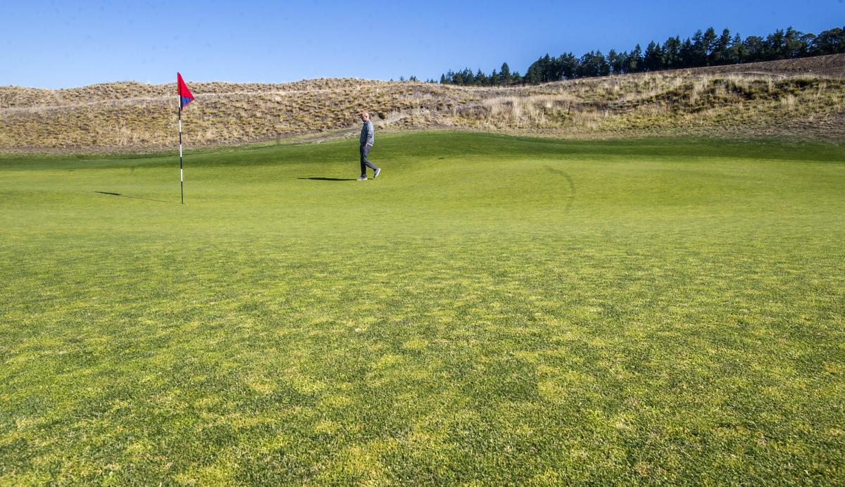 The 18th hole at Chambers Bay golf course on Monday, Sept. 24, 2018 in University Place, Wash. shows the mottled look of the lighter, yellower perenial Poa annua grass creeping into a green that had been planted with fine fescue.