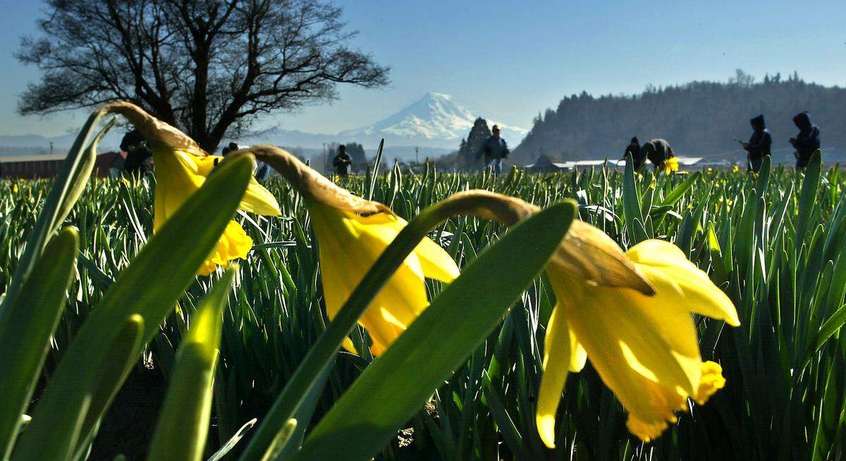 Warm weather is expected through the week.