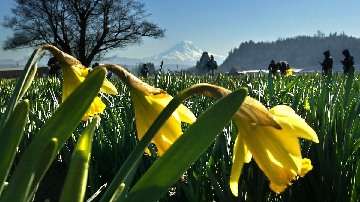 Warm weather is expected through the week.