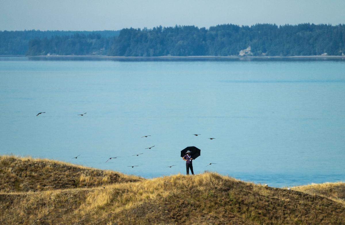 A spectator holds an umbrella to block the sun while watching golfers compete at the 122nd U.S. Women’s Amateur Championship at Chambers Bay Golf Course in University Place on Aug. 8, 2022.