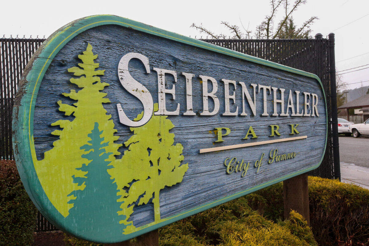Upgrades to Seibenthaler Park are expected to cost about $9.1 million. These upgrades include a spray park, permanent dog park and ADA parking.