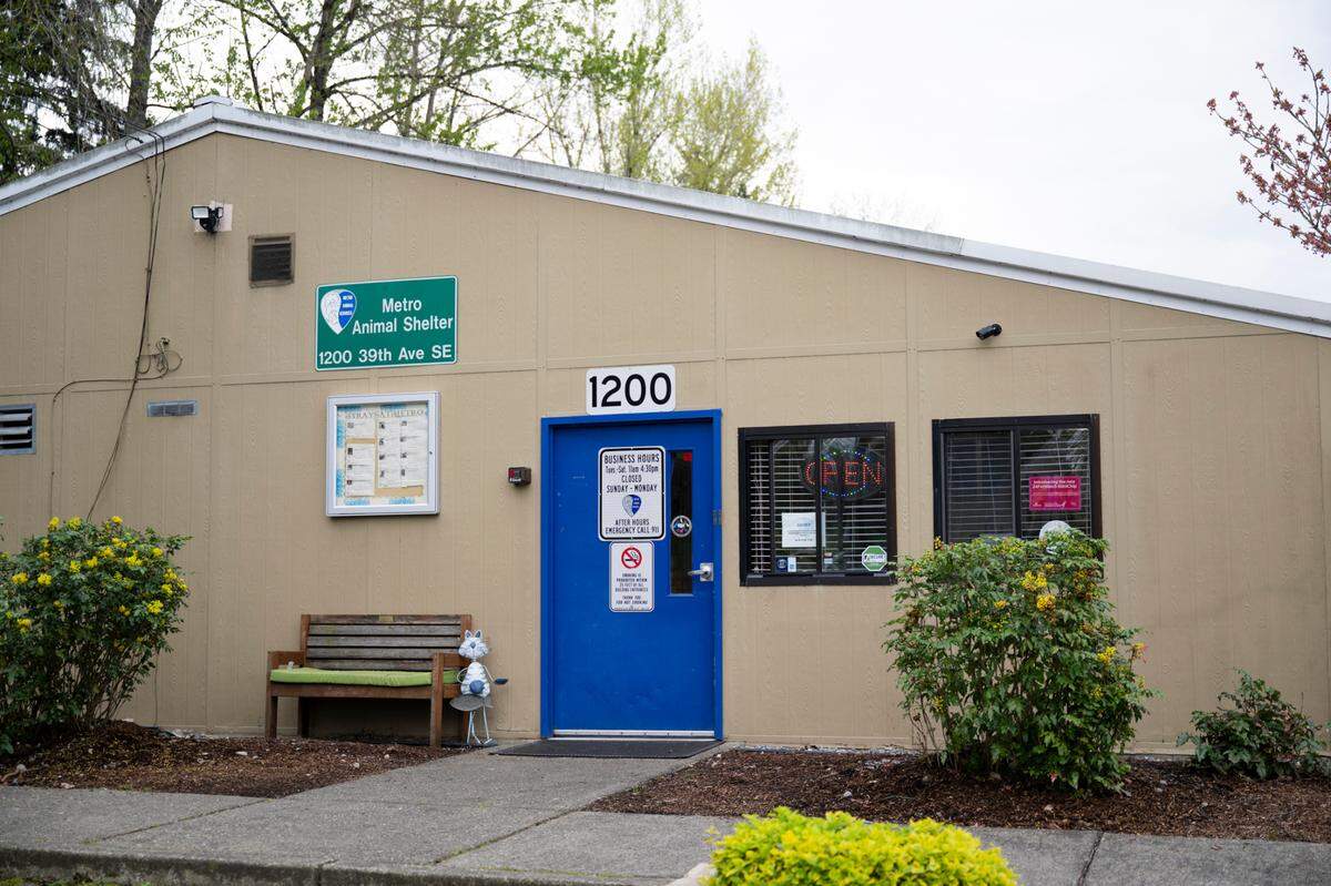 Metro Animal Services is reopening after renovation, on Thursday, April 10, 2025, in Puyallup, Wash.