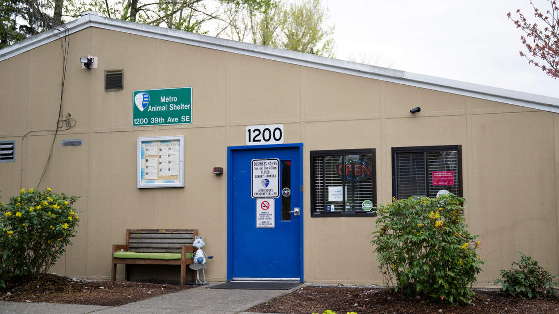 Pierce County city ends animal control agreement to cut costs. Here’s the plan