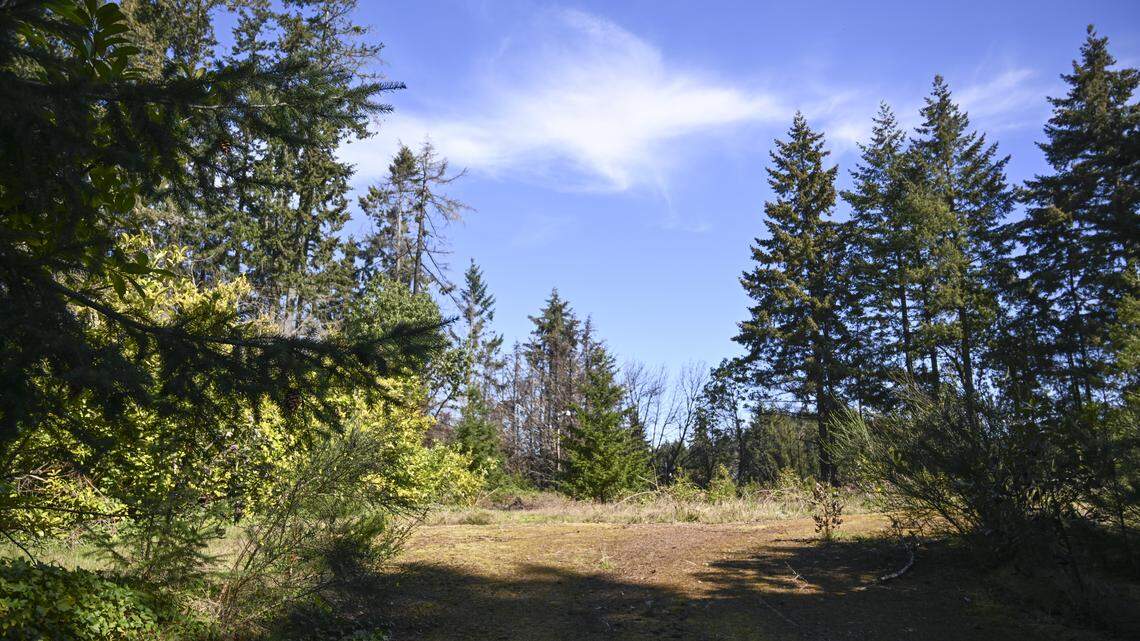 Affordable housing planned in Pierce County city where homes average $900,000