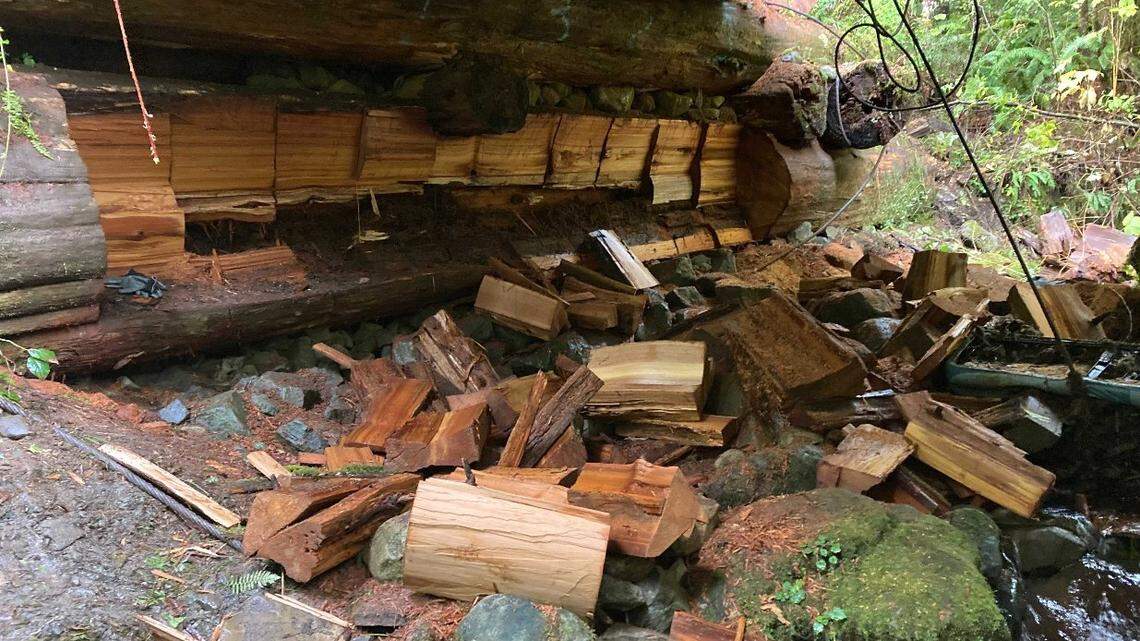 Two men were caught cutting chunks of wood from the base of a bridge in the Clearwater area in Washington, on Oct. 22, 2021, officials say. One man was sentenced to nearly 18 months in prison on March 4, 2022.