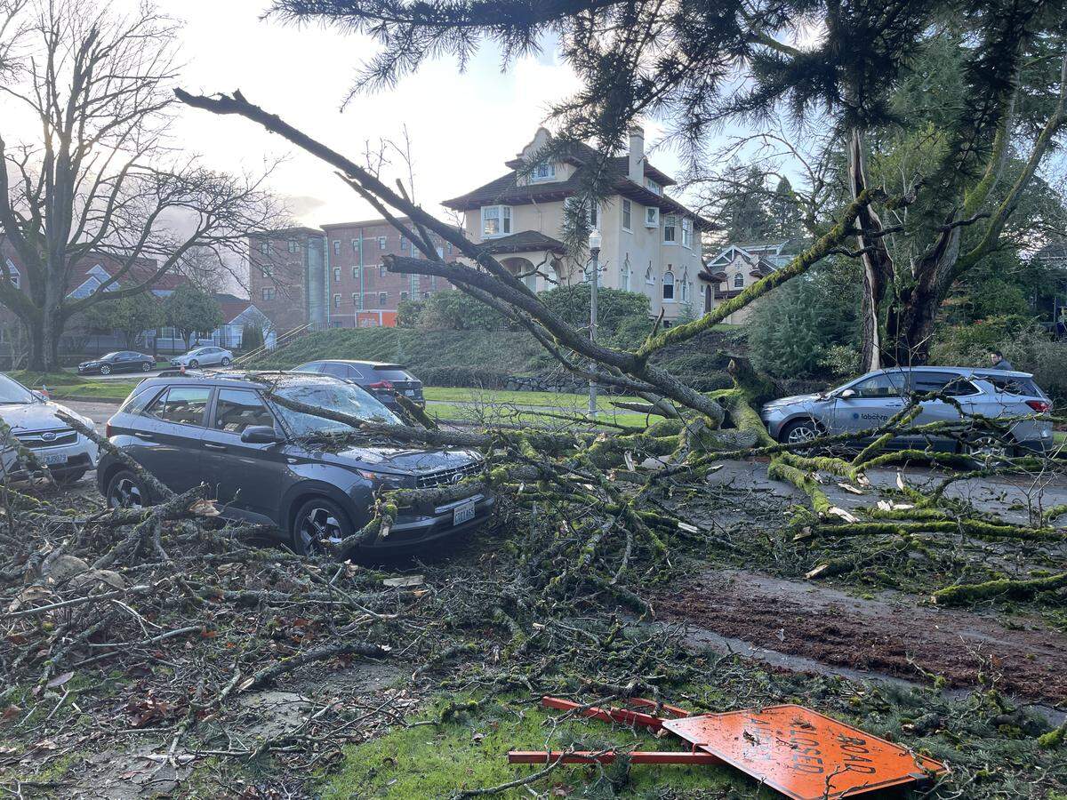 Strong winds battered Western Washington overnight, leaving trees and power lines down Wednesday, Dec. 17, 2025. In Tacoma’s North End, a tree fell on North Yakima Avenue, damaging two cars and closing the road.