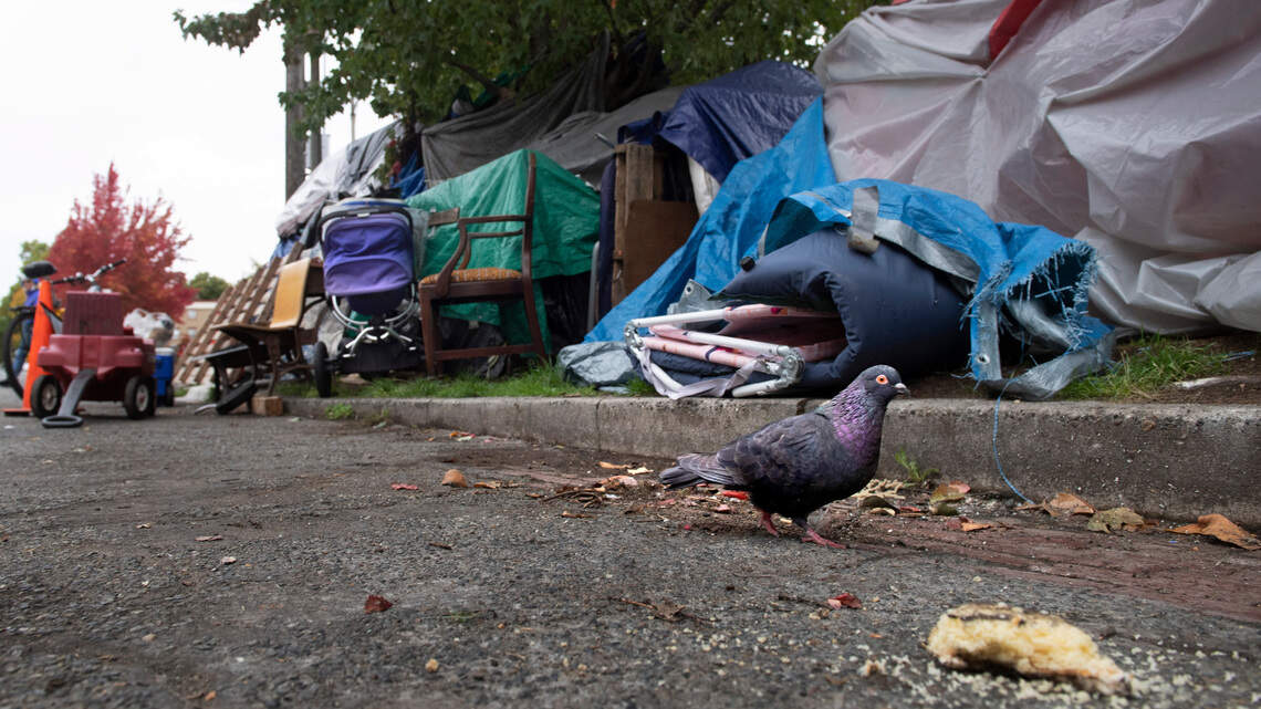 $100K study to look at ‘pain points’ in Pierce County’s homeless programs