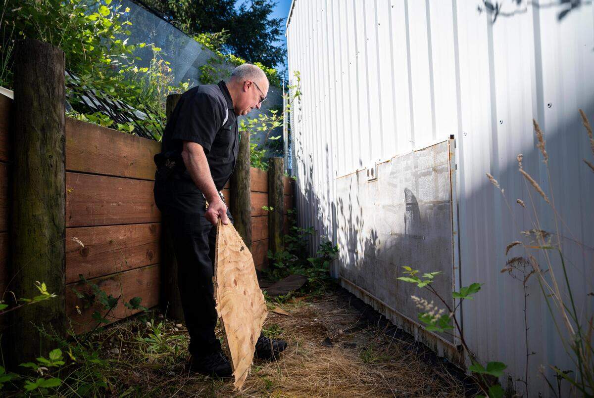 T&T Tire Point S owner Ed Tuck looks at where a hole was cut into the outside of a building that stores used tires, by thieves last month, at the shop in Tacoma on Monday, July 11, 2022. Tuck’s shop has experienced a series of crimes since mid-February, including the theft of 16 sets of car keys and a firearm.
