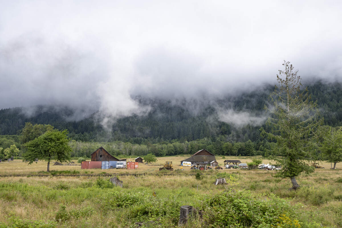 A railroad track previously used for logging mills runs to the left of the Mt. Rainier Scenic Railroad tracks on Thursday, July 16, 2026, in Elbe.