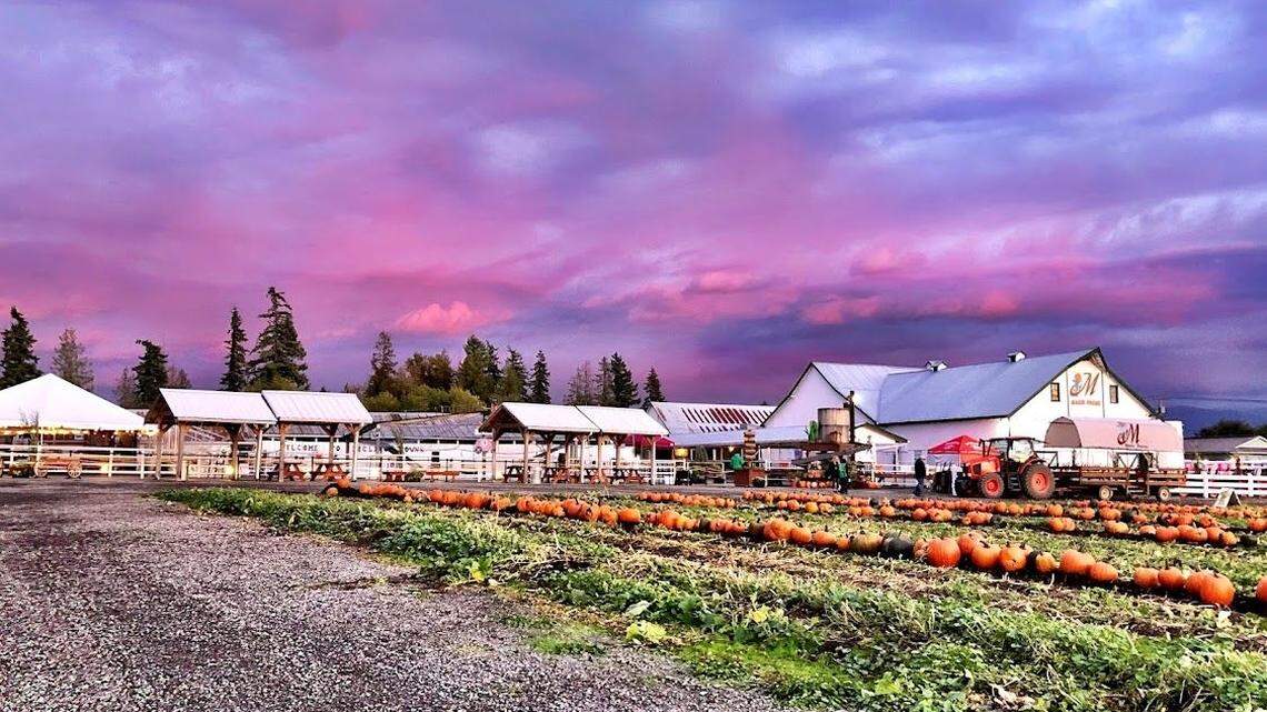 Spooky speakeasies, Boo-Allup, Horror Con and other East Pierce Halloween events