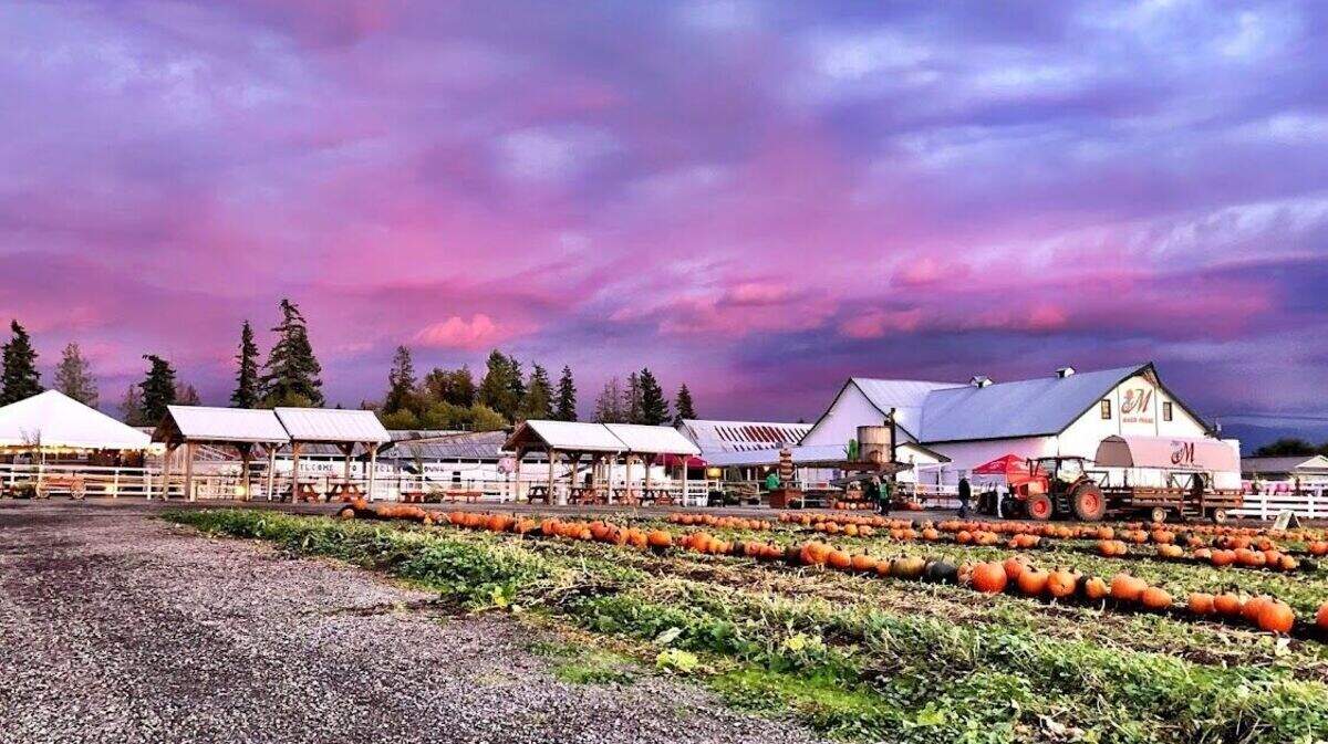 Maris Farms is at 25001 Sumner Buckley Highway in Buckley.