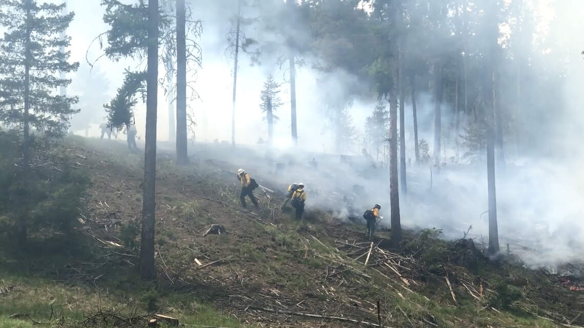 After 2020’s destructive wildfire season, infusion of state funding on the horizon