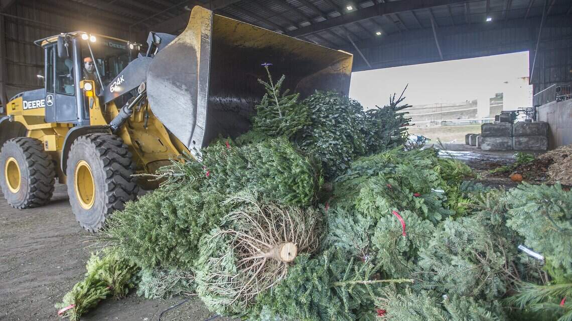 Here’s how to recycle Christmas trees and discard other holiday items in Boise area