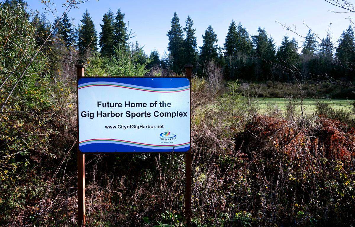 This grass meadow will be replaced with two synthetic turf athletic fields at the planned Gig Harbor Sports Complex in Gig Harbor.