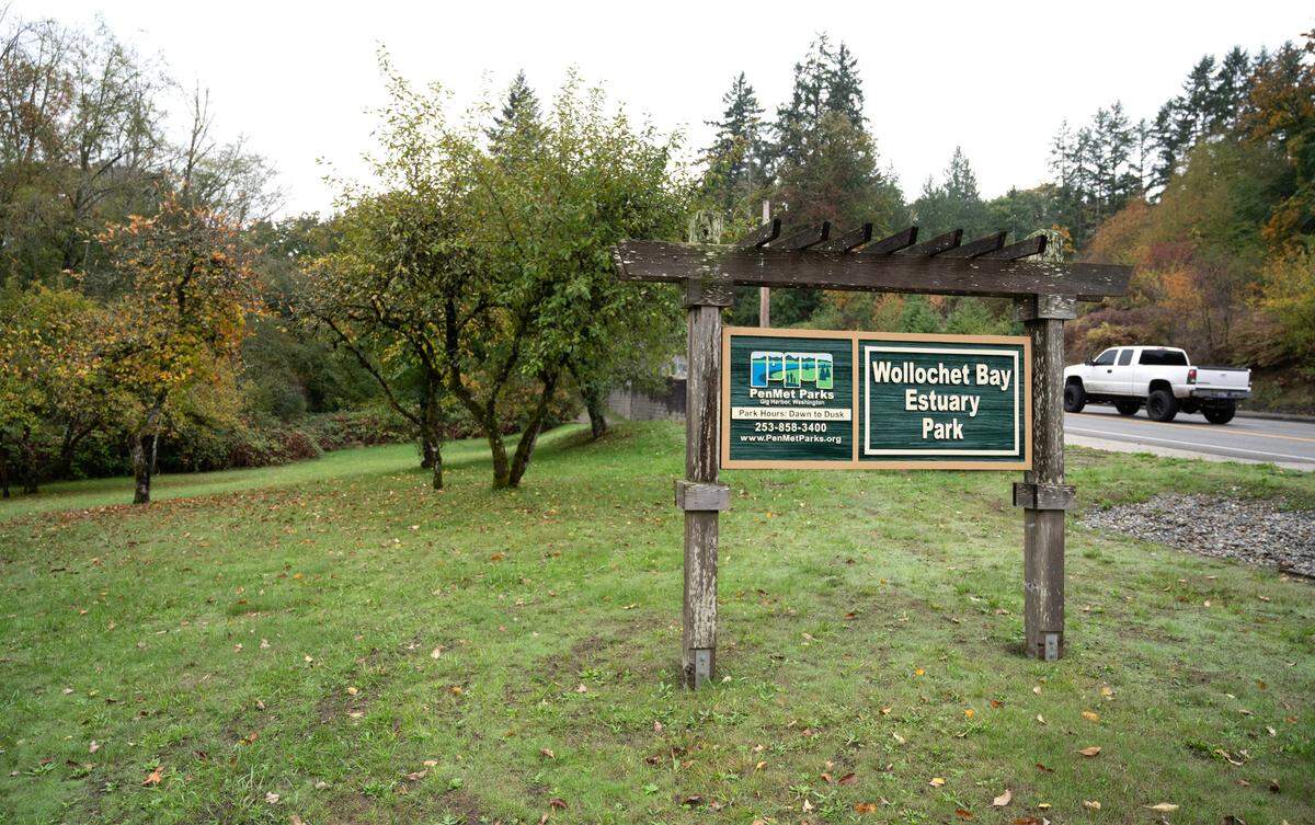 You’ve driven by - but probably never stopped at - Wollochet Bay Estuary Park in Gig Harbor, Washington, shown on Thursday, Oct. 12, 2023.