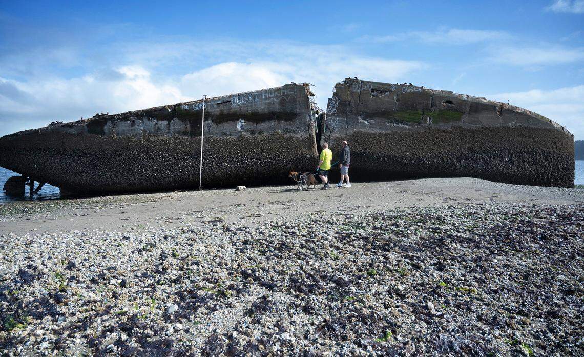 Michael Ogle of Tacoma, brings his brother William Ogle of Carmel, Indiana, explore around The Cement Ship, a scuttled concrete barge on the beach in DuPont, Washington, on Wednesday, June 5, 2024.